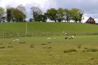 DSC_8385s.jpg